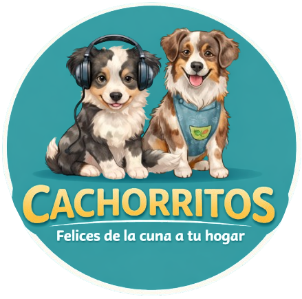Cachorros CG
